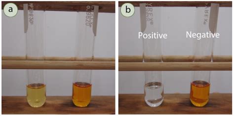 drops in test tubes|6.4D: Individual Tests .